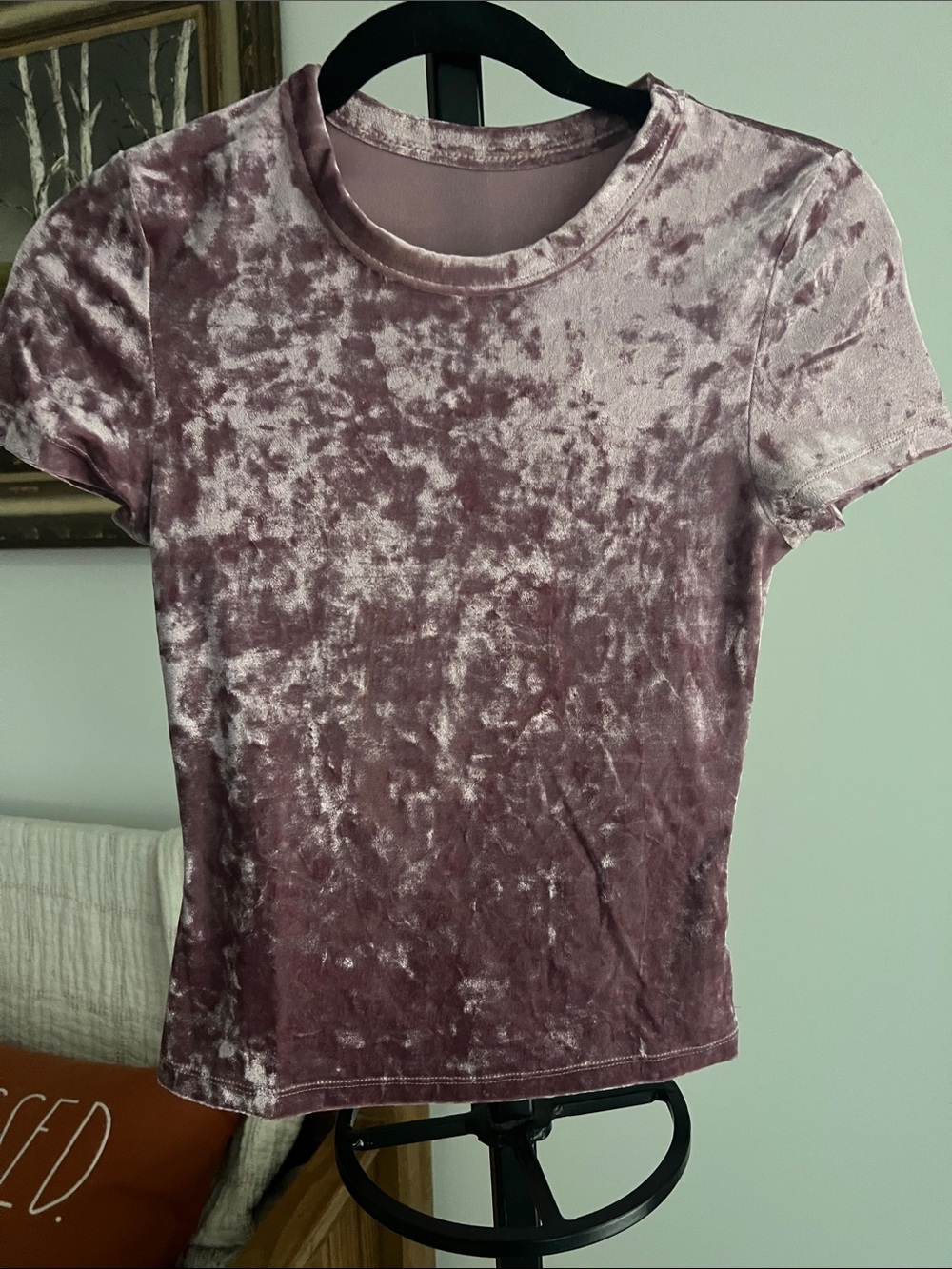 Free People- Crushed Velvet Short Sleeve Tee - Dusty Mauve